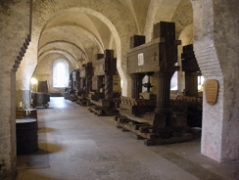 Figure 1a. Wine presses at Santa Rita, Chile. Photo by J. Krueger.